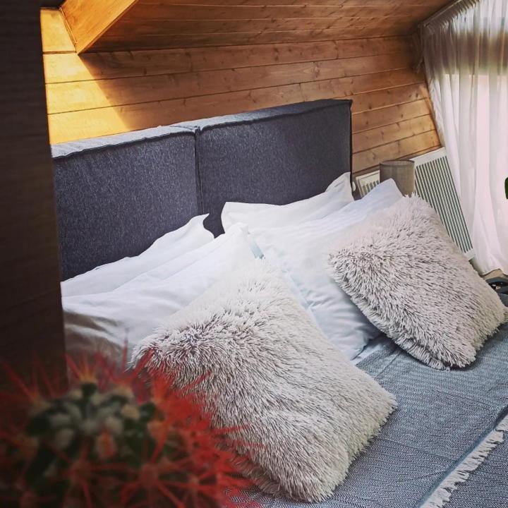 Cottage Toladi Kazbegi Eksteriør bilde